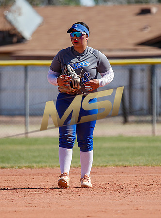 AIA Varsity Girls Softball