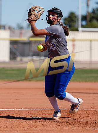 AIA Varsity Girls Softball