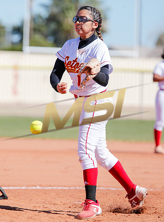 AIA Varsity Girls Softball