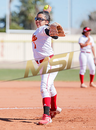 AIA Varsity Girls Softball