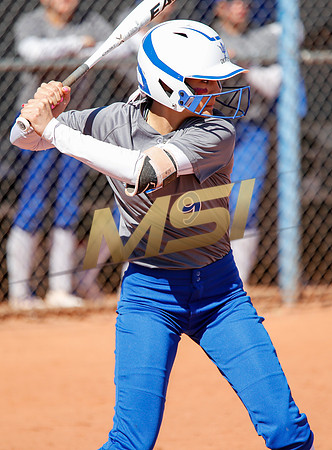 AIA Varsity Girls Softball