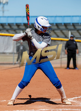 AIA Varsity Girls Softball