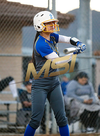 CIF Girls Softball