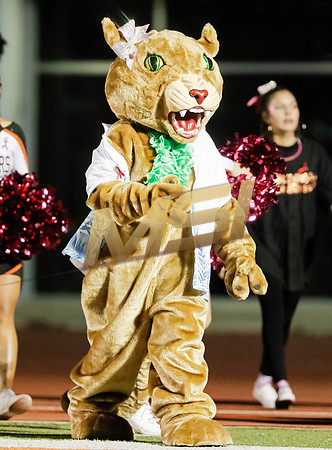 CIF Varsity Football