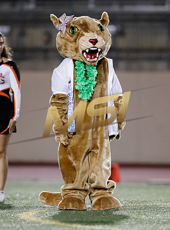 CIF Varsity Football