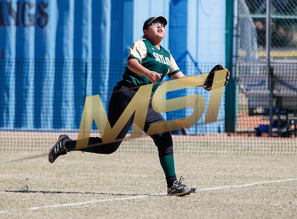 AIA Varsity Girls Softball