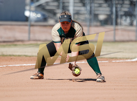 AIA Varsity Girls Softball