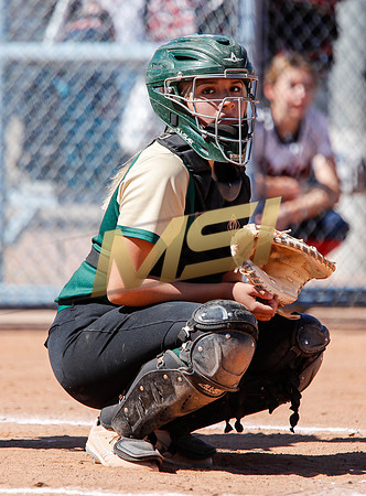 AIA Varsity Girls Softball