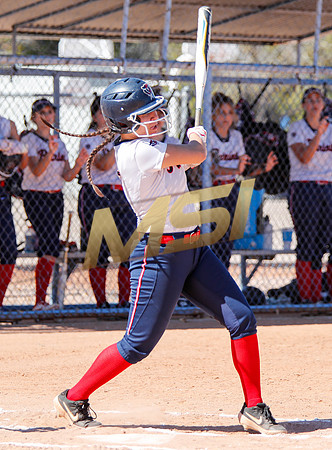 AIA Varsity Girls Softball