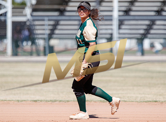 AIA Varsity Girls Softball