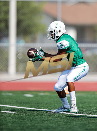 20180811_Lincoln_vs_Chula Vista131.JPG
