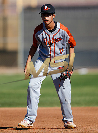 AIA Boys Varsity Baseball