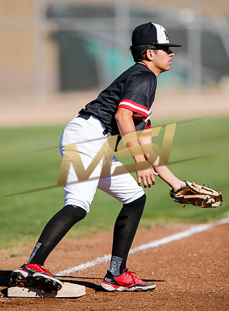 AIA Boys Varsity Baseball