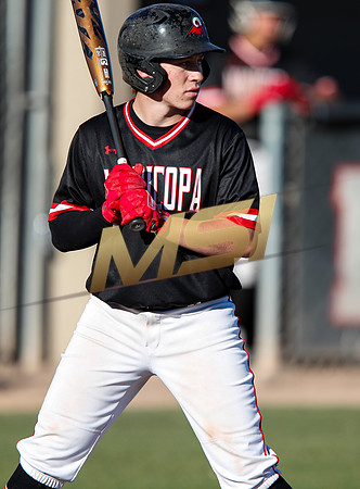 AIA Boys Varsity Baseball