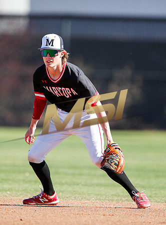 AIA Boys Varsity Baseball