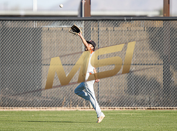 AIA Boys Varsity Baseball