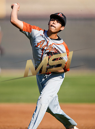 AIA Boys Varsity Baseball