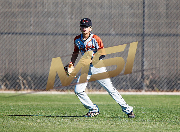 AIA Boys Varsity Baseball