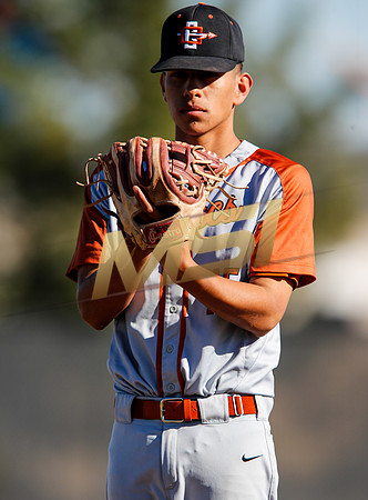 AIA Boys Varsity Baseball