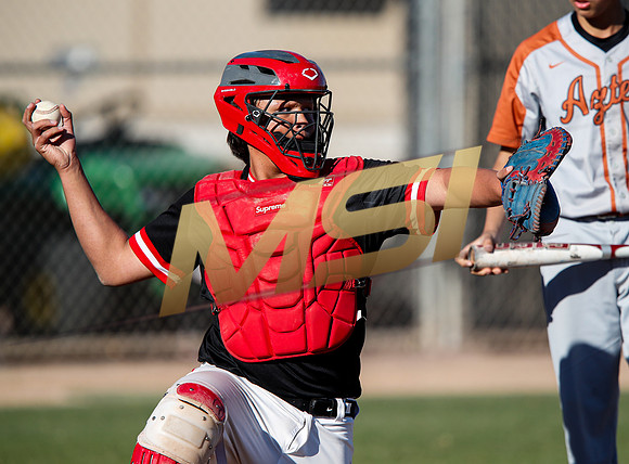 AIA Boys Varsity Baseball