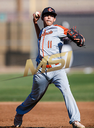 AIA Boys Varsity Baseball