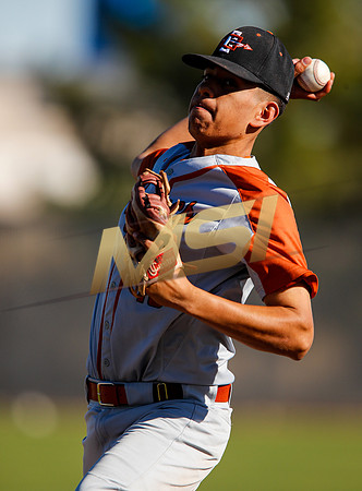 AIA Boys Varsity Baseball
