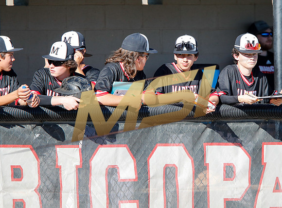 AIA Boys Varsity Baseball