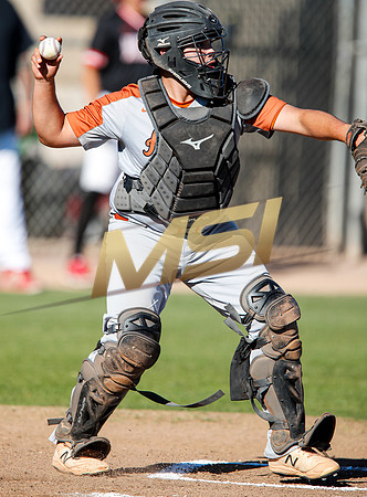 AIA Boys Varsity Baseball