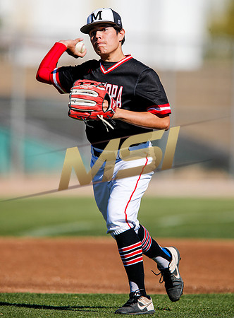 AIA Boys Varsity Baseball