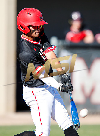 AIA Boys Varsity Baseball