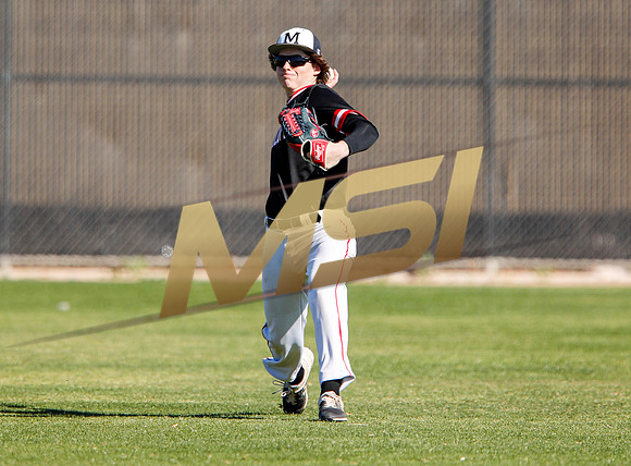AIA Boys Varsity Baseball