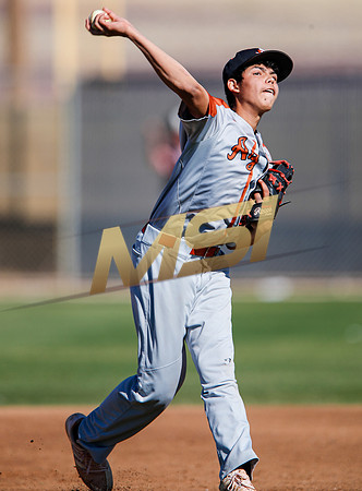 AIA Boys Varsity Baseball