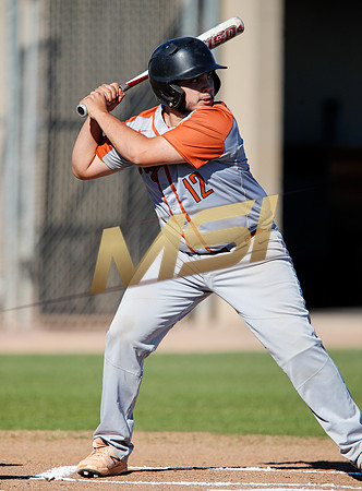 AIA Boys Varsity Baseball