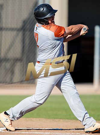 AIA Boys Varsity Baseball