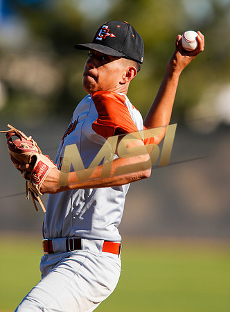 AIA Boys Varsity Baseball