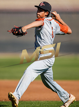 AIA Boys Varsity Baseball