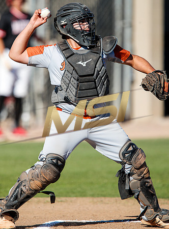 AIA Boys Varsity Baseball
