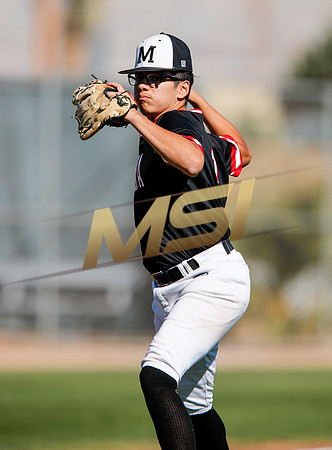 AIA Boys Varsity Baseball