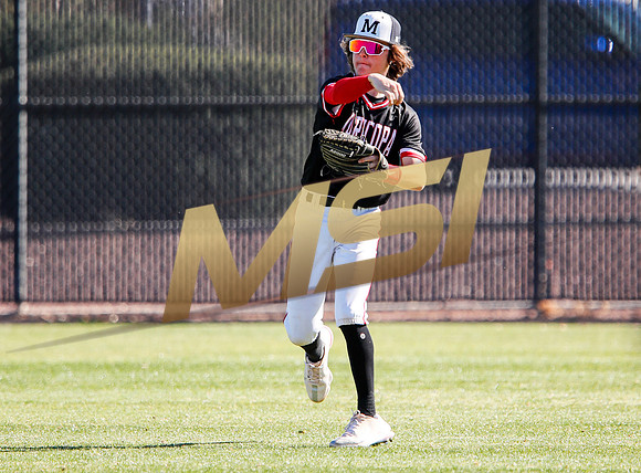 AIA Boys Varsity Baseball