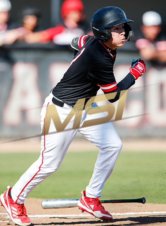AIA Boys Varsity Baseball