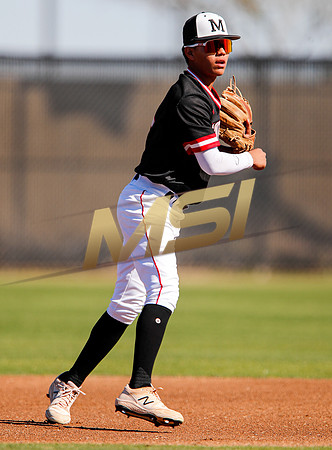 AIA Boys Varsity Baseball