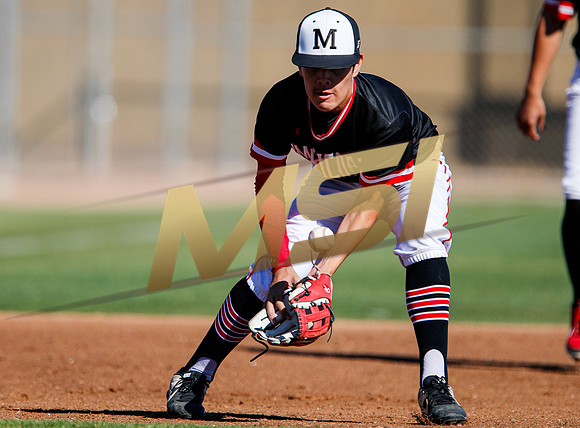 AIA Boys Varsity Baseball