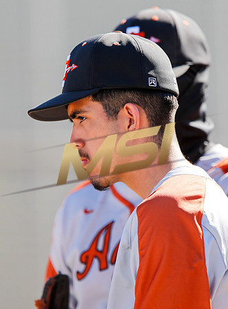 AIA Boys Varsity Baseball