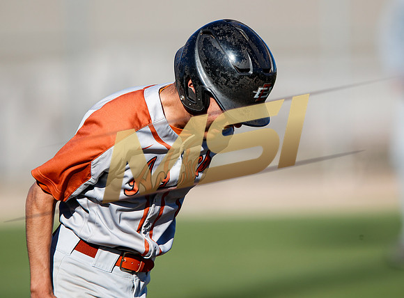 AIA Boys Varsity Baseball