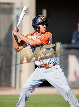 AIA Boys Varsity Baseball
