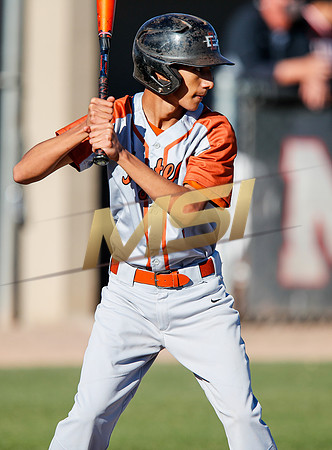 AIA Boys Varsity Baseball