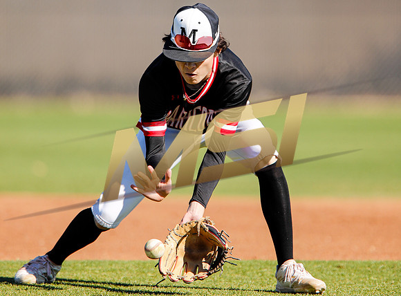 AIA Boys Varsity Baseball