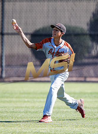 AIA Boys Varsity Baseball