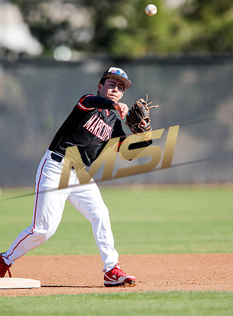 AIA Boys Varsity Baseball
