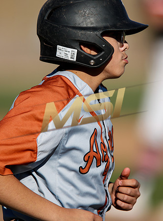 AIA Boys Varsity Baseball